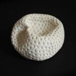 corail par Michelle Kruithof