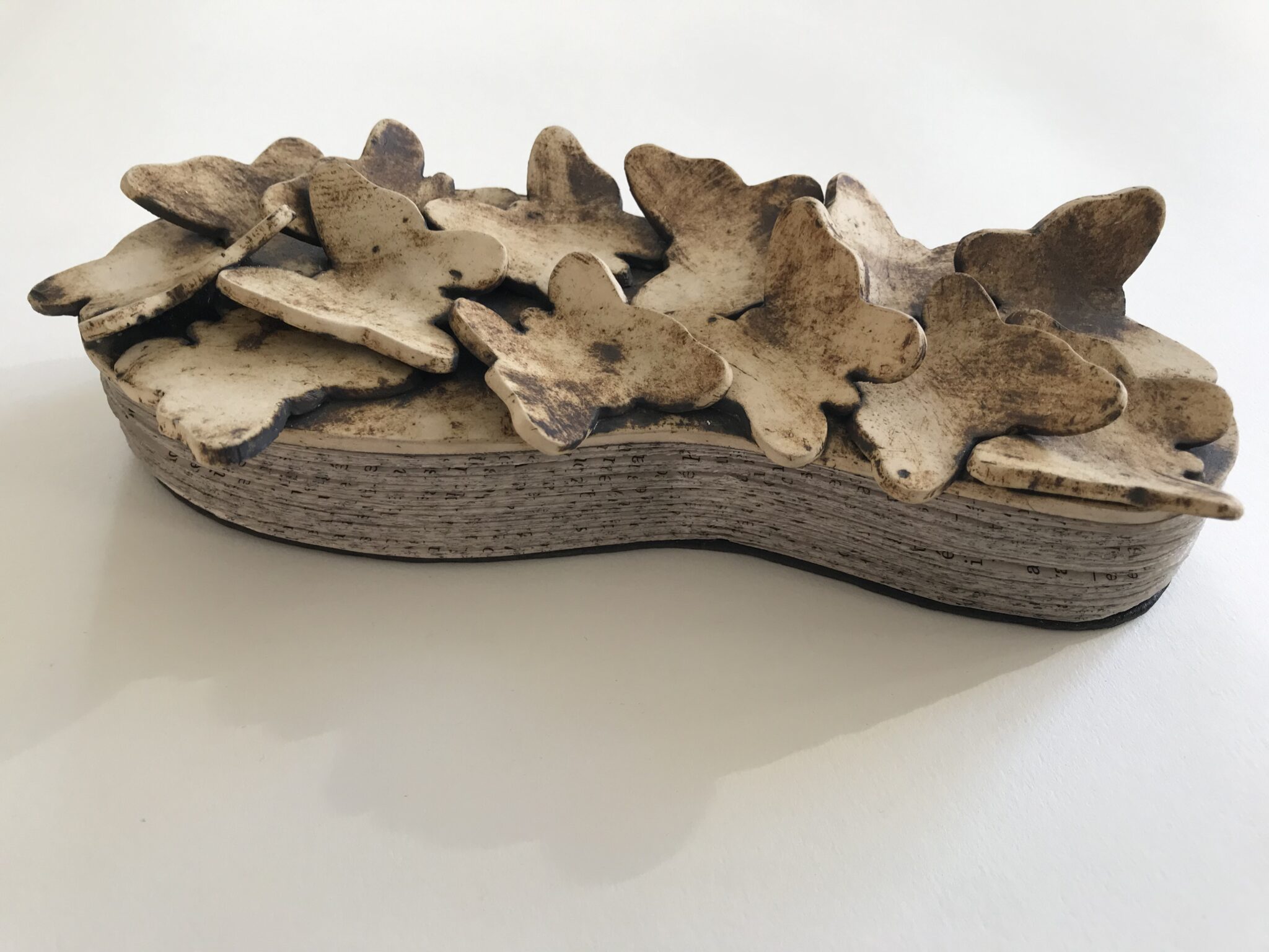 le-manifeste-des-papillons-livre-objet-fond-patrimonial-mediatheque-de-monaco