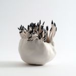 Eclosion