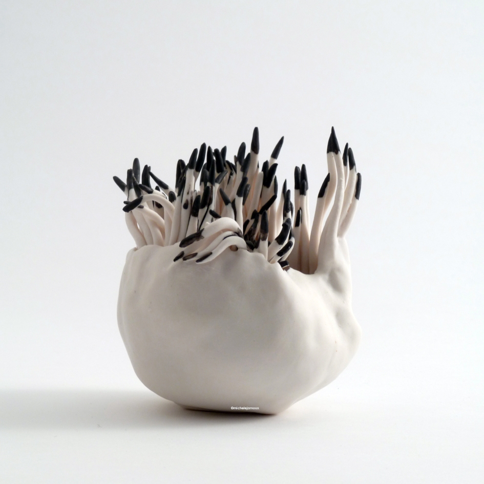 eclosion-5