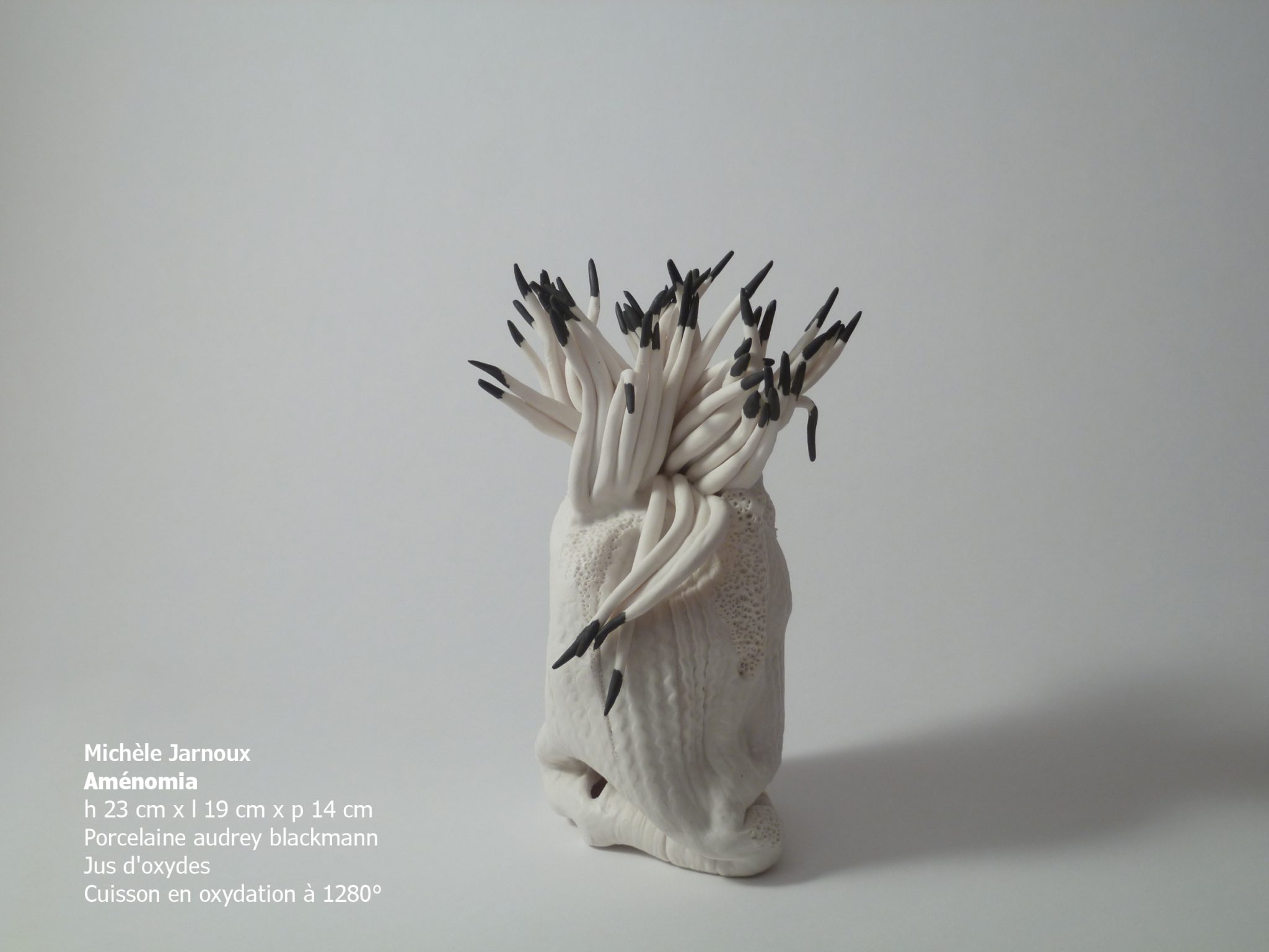 amenomia-2