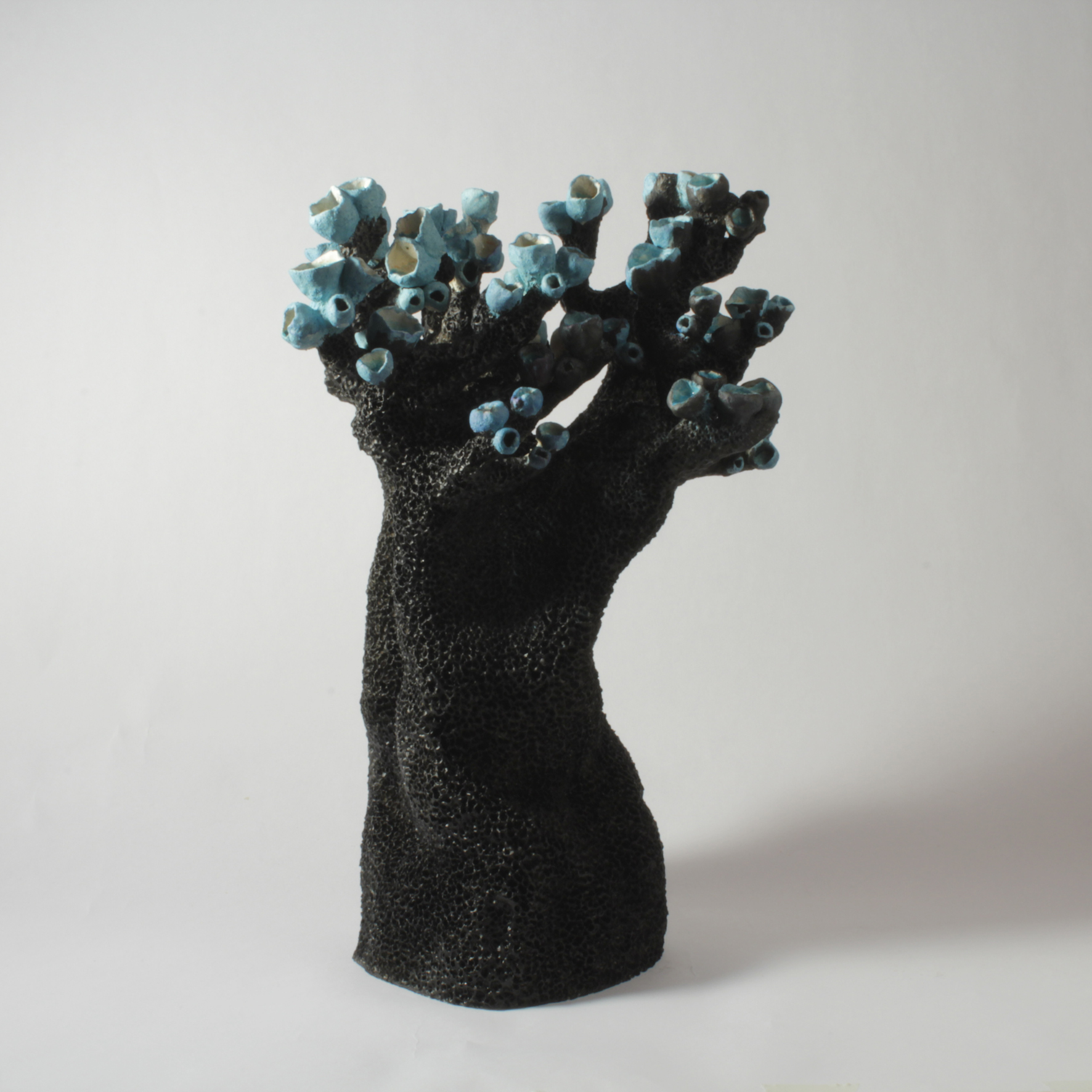 coralune-black-blue