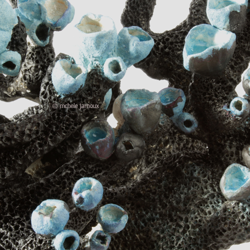 coralune-black-blue-2