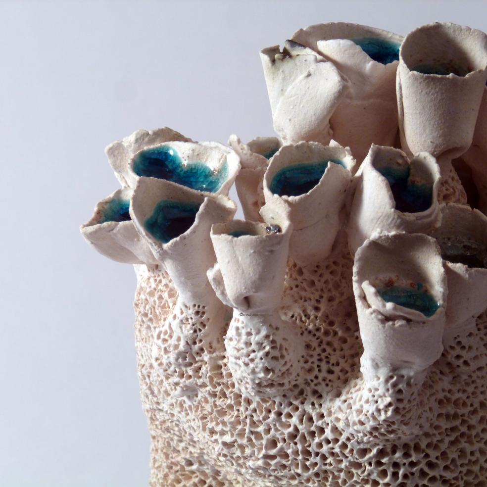 coralys-3