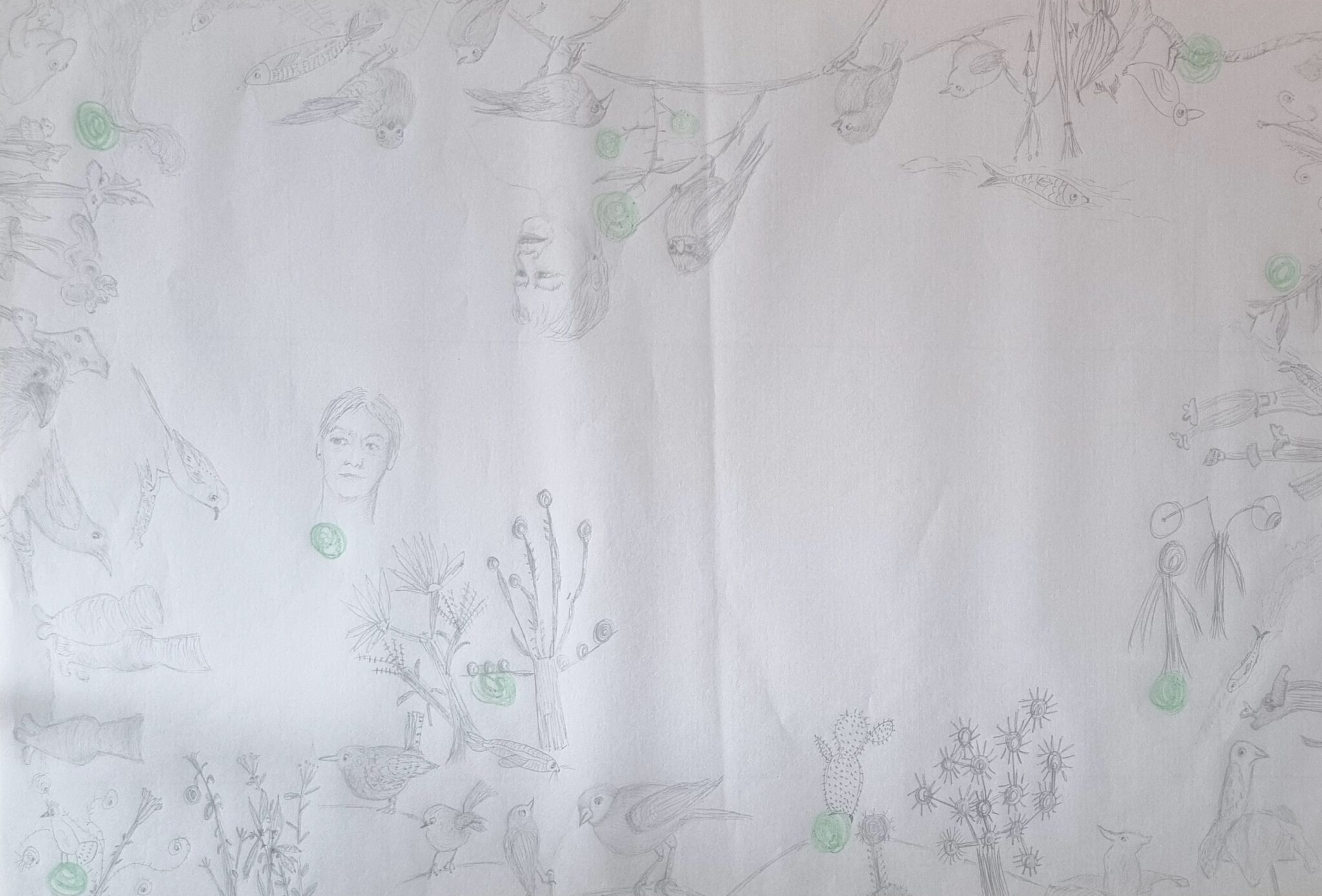 les-constellations-planete-clem