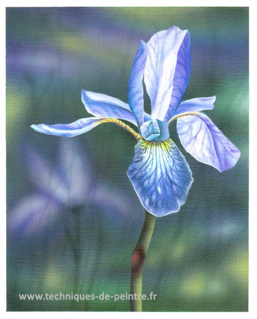 fleur-iris-techniques-de-peintre