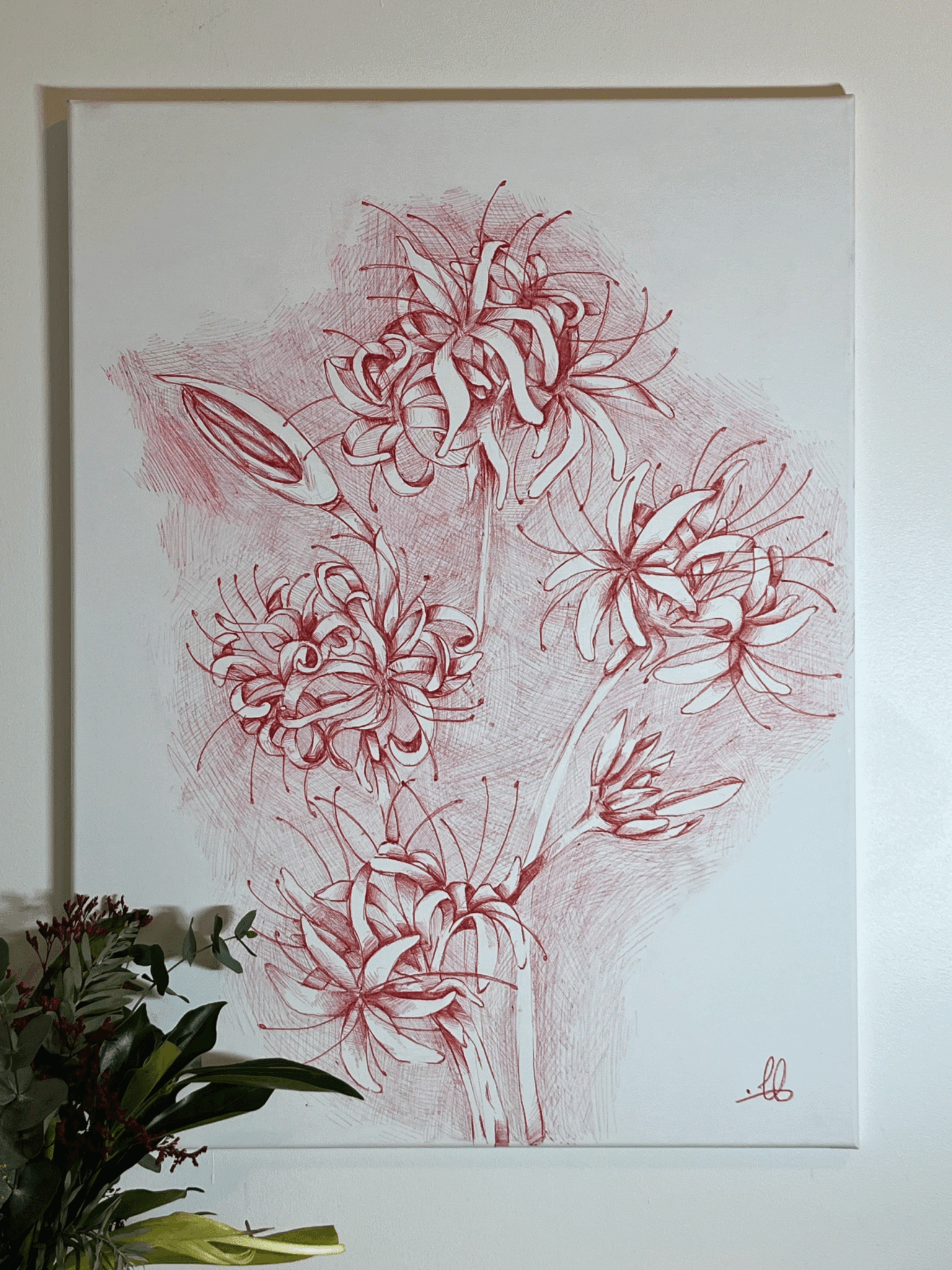 licorys-rouge-scaled