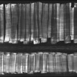 Nuits grises par OLIVIER WALDBERG