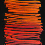 Stries  par OLIVIER WALDBERG