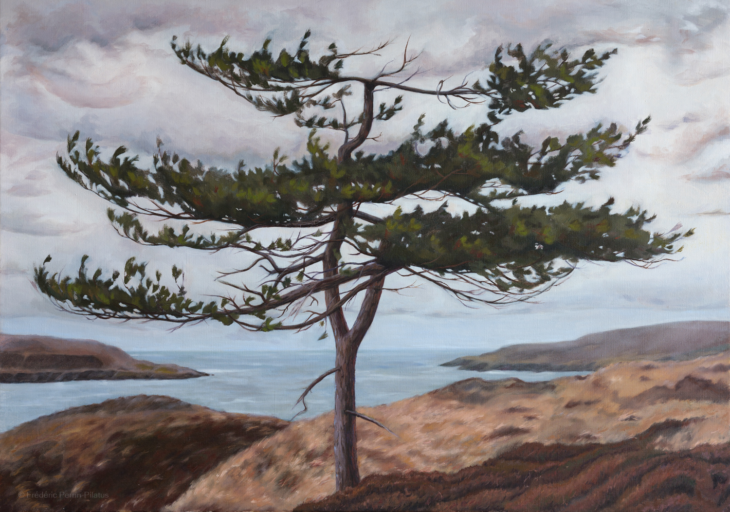 portrait-dun-arbre