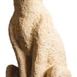 Angus par Yolande Jung