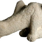 Angus le chat par Yolande Jung