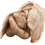 Et pourtant par Yolande Jung