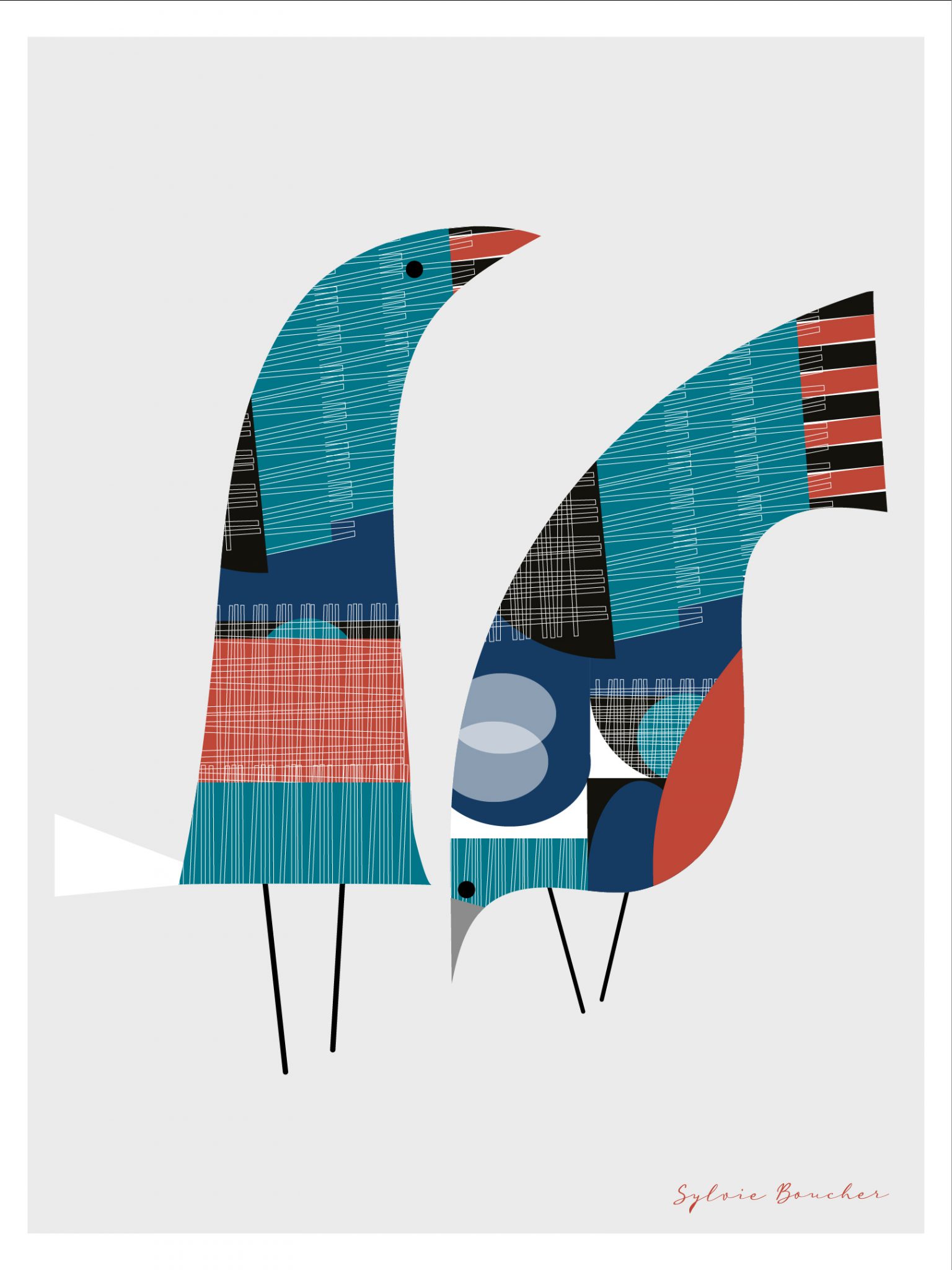 oiseaux-6