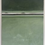 Le pouls du marais par Delphine DEROBERT MASURE