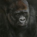 201-Yaoundé, gorille des plaine, huile sur toile, 54 x 73 par Danielle BECK
