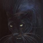 Panthère noire