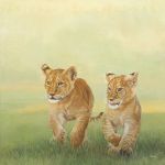 Deux lionceaux du MAsaï Mara par Danielle BECK