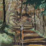 Biche en sous-bois par yves belaubre