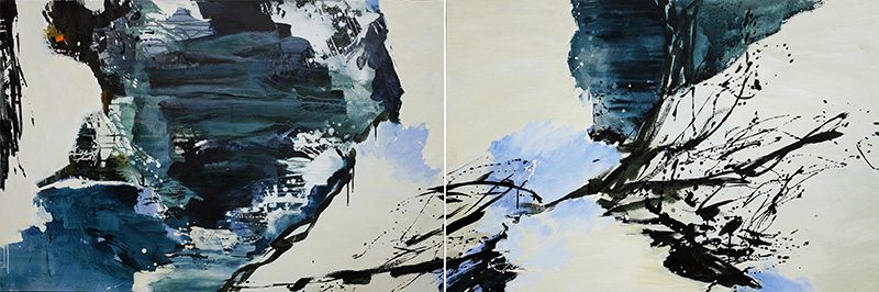 508_exnaturaii_97x292_2016_web