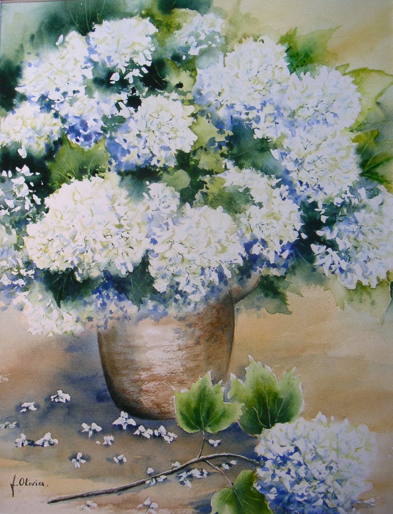 bouquet-de-viburnum