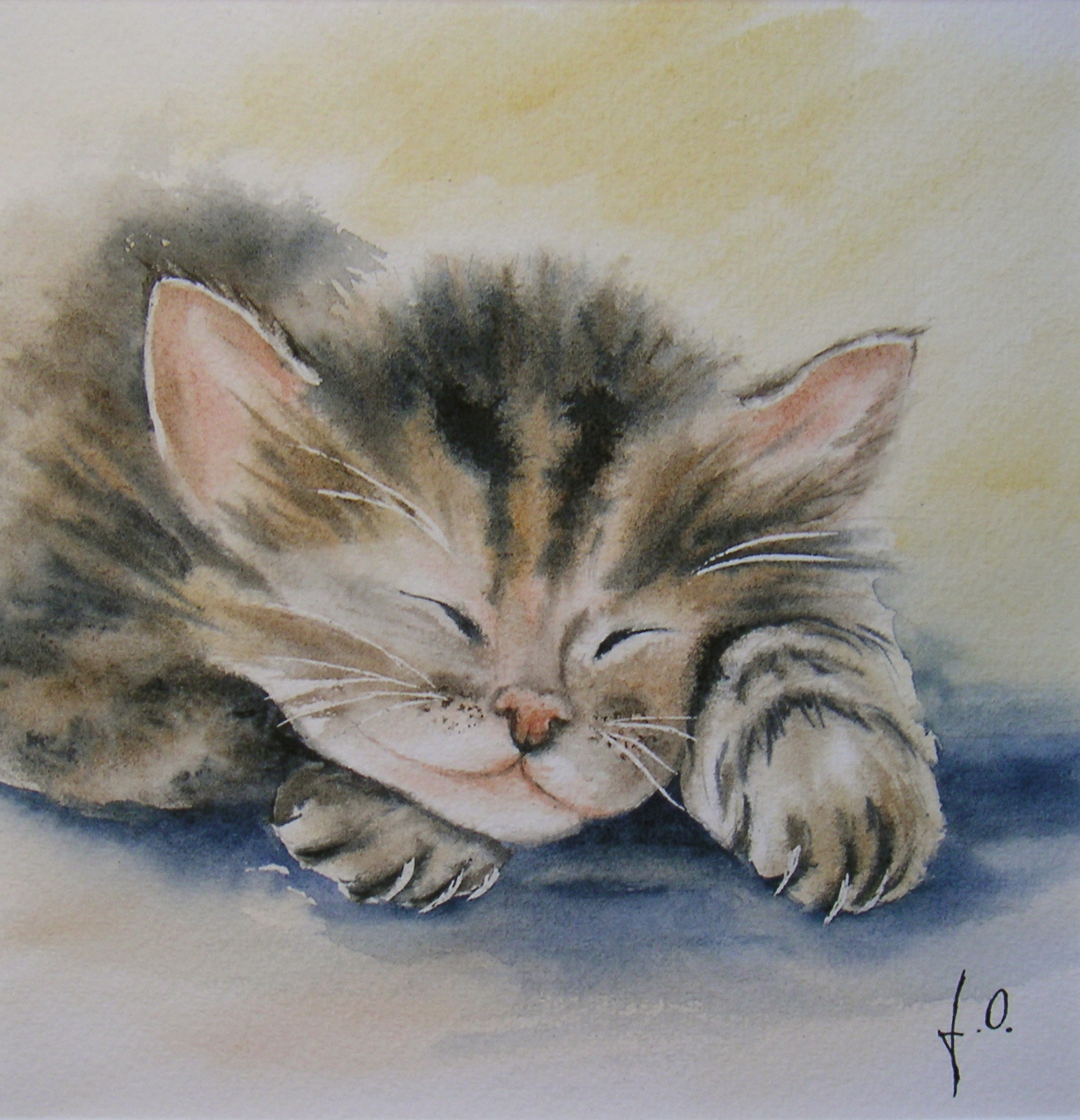 chaton-endormi