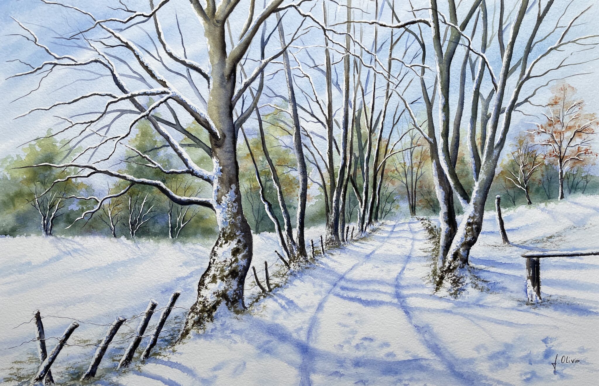 chemin-de-campagne-en-hiver