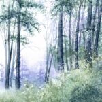 Sous-bois par Jocelyne OLIVIER LABROSSE