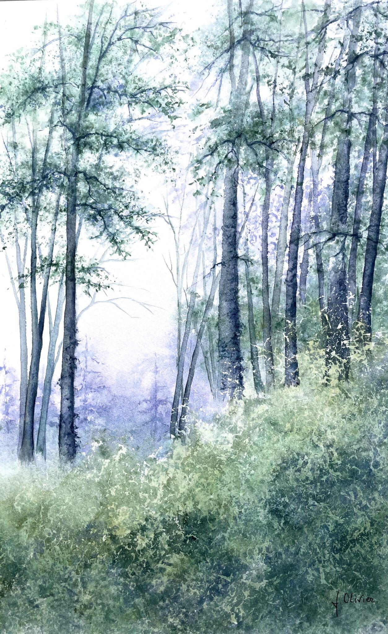 sous-bois-11