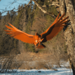 Sculpture d\'un aigle en métal peint en marron par MAIRE Cyril