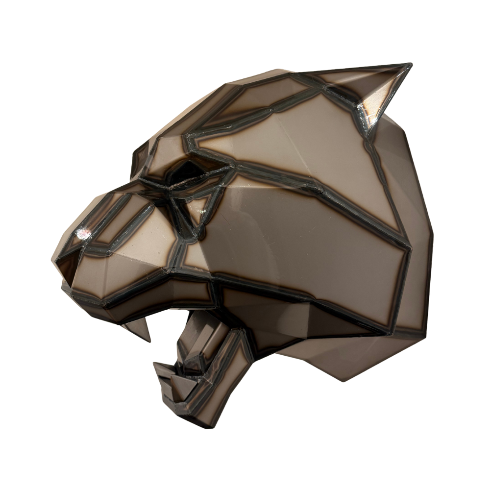 tete-de-tigre-en-acier