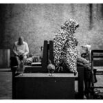 01 par Veronica Gonzalez Vanek