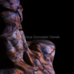 Textura Radicum01 par Veronica Gonzalez Vanek