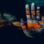 Textura Radicum 02 par Veronica Gonzalez Vanek