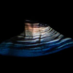 Textura Radicum 03 par Veronica Gonzalez Vanek