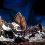 Textura Radicum 04 par Veronica Gonzalez Vanek