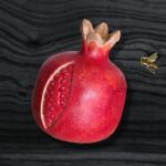 La grenade de Galla par Laurent Bussard (Lobu)