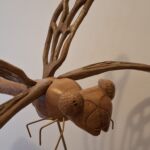 Les quatre \"L\" de libellule par Laurent Bussard (Lobu)