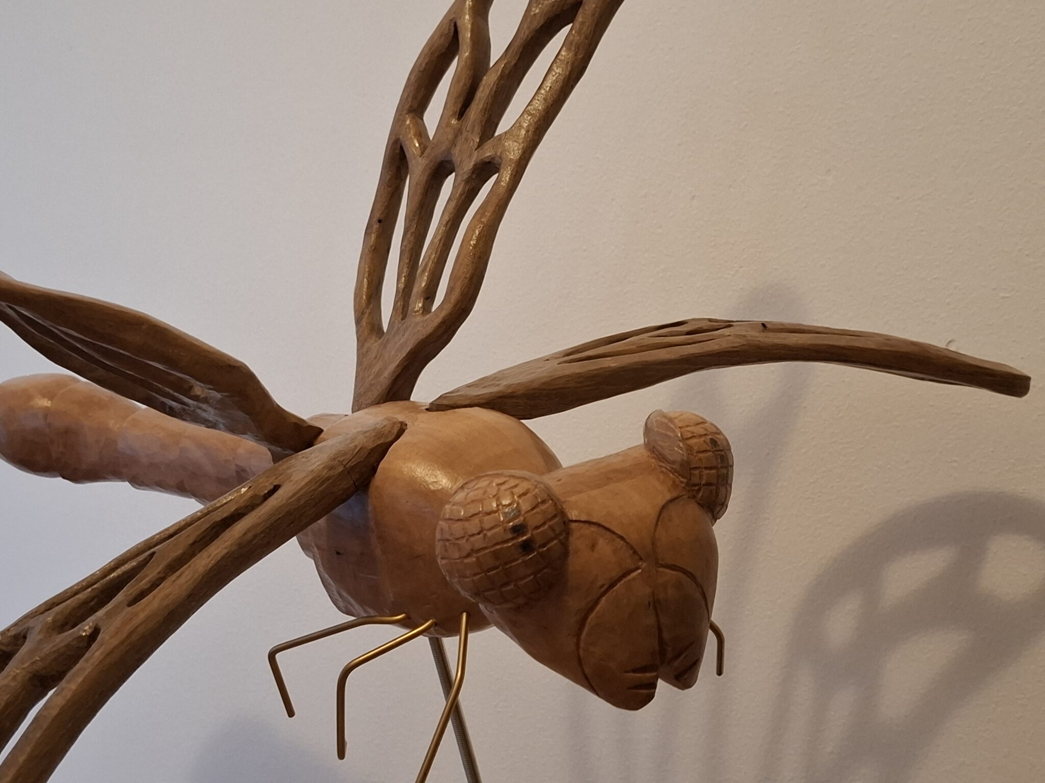 les-quatre-l-de-libellule