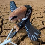 Boucan Silencieux par Laurent Bussard (Lobu)