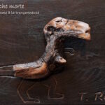 Branche morte par Laurent Bussard (Lobu)