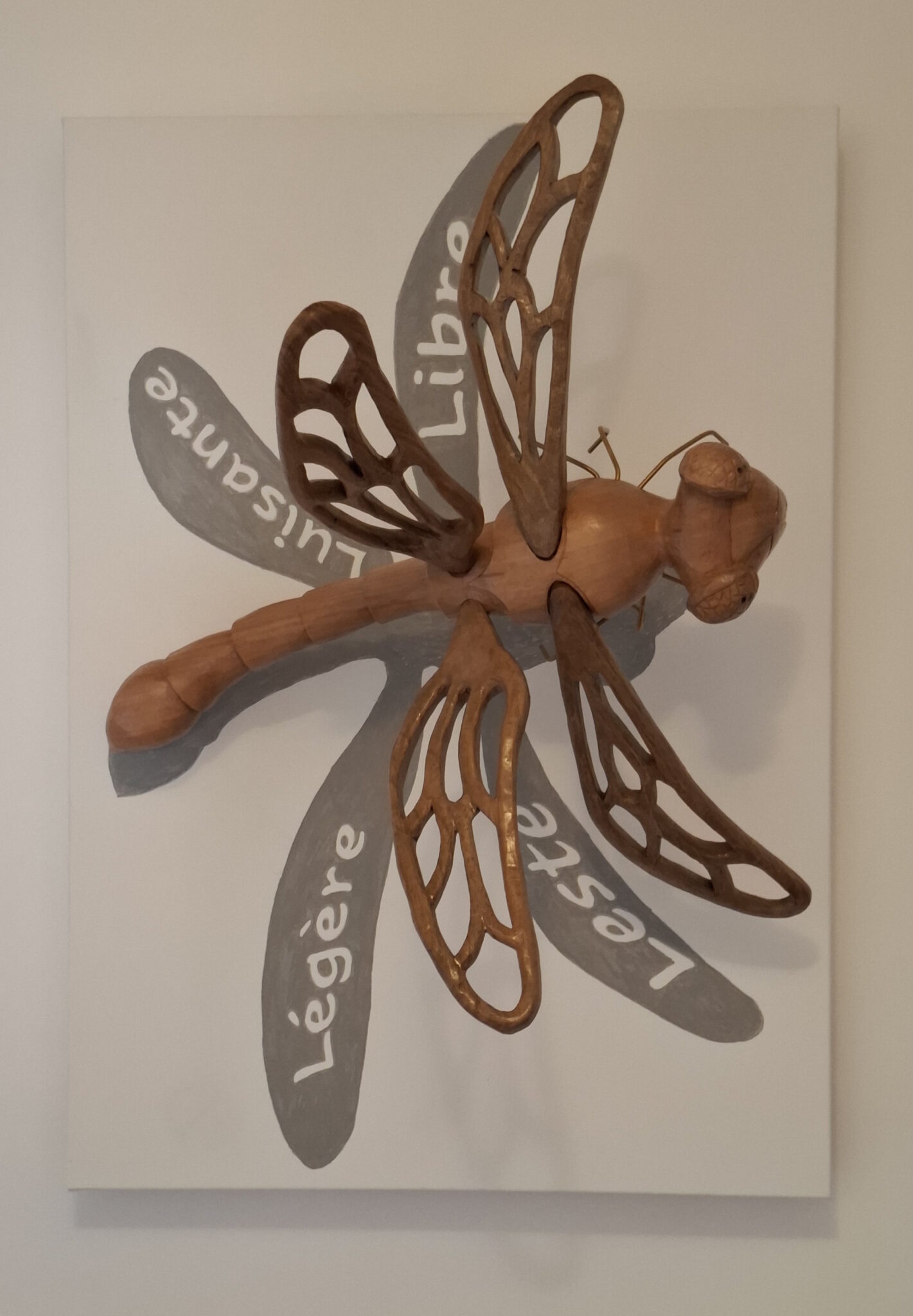 les-quatre-l-de-libellule-2