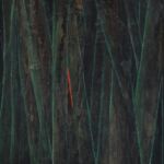 Arbres saignants par Sarah Nougaret