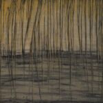 Forêt de Verdun par Sarah Nougaret