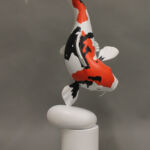 Carpe Koï par Binome