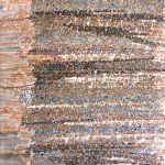 Chanté dans les monts ennuagés (Pou)