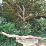 Extase et Grand volant par Marie BUSSON