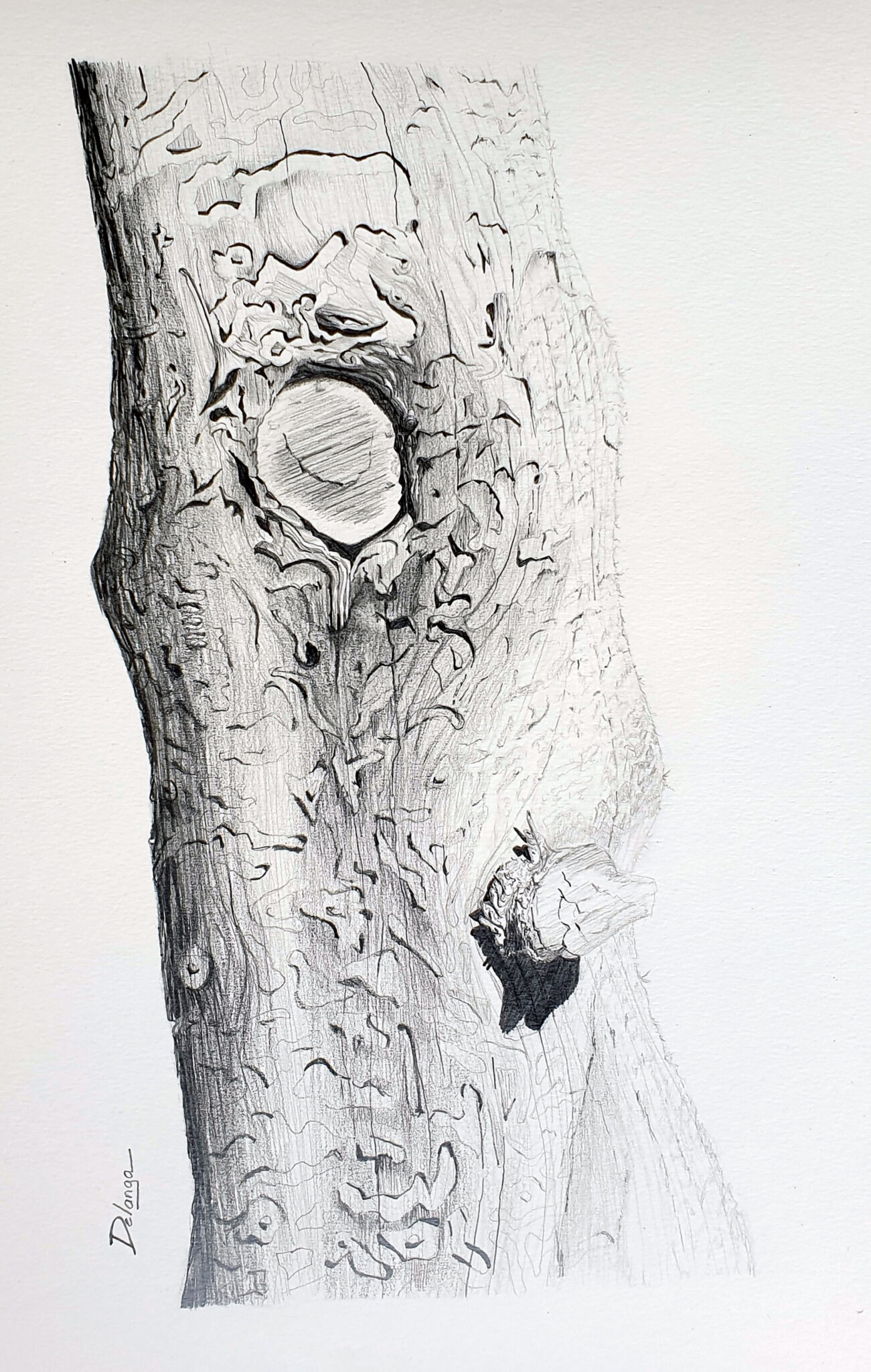 big-tree-is-watching-you