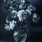 C-IMG_4725 par Tanguy Roland