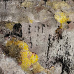 Badbye par MURIEL GANI